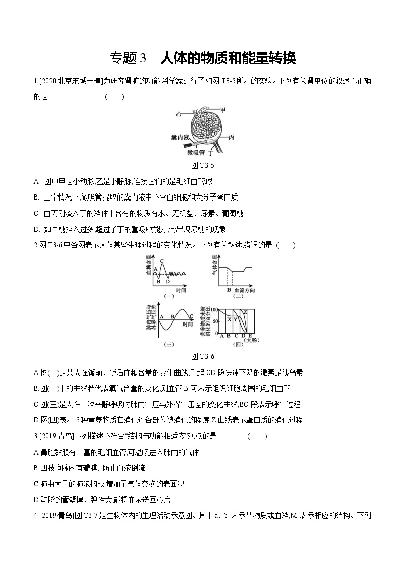 2021年浙教版科学中考生物部分专题突破专题03　人体的物质和能量转换