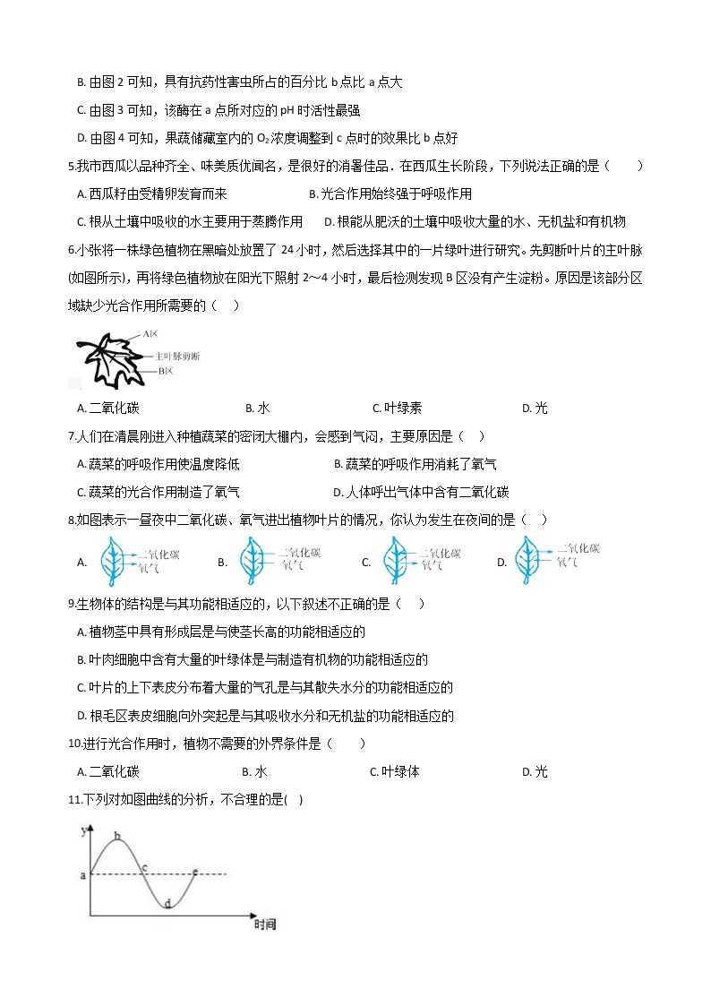 2021年初中科学二轮复习专题04：绿色植物的光合作用和呼吸作用 (含解析)02