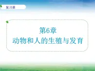 2020—2021学年华东师大版七年级科学下册 第六章 动物和人的生殖与发育复习 课件