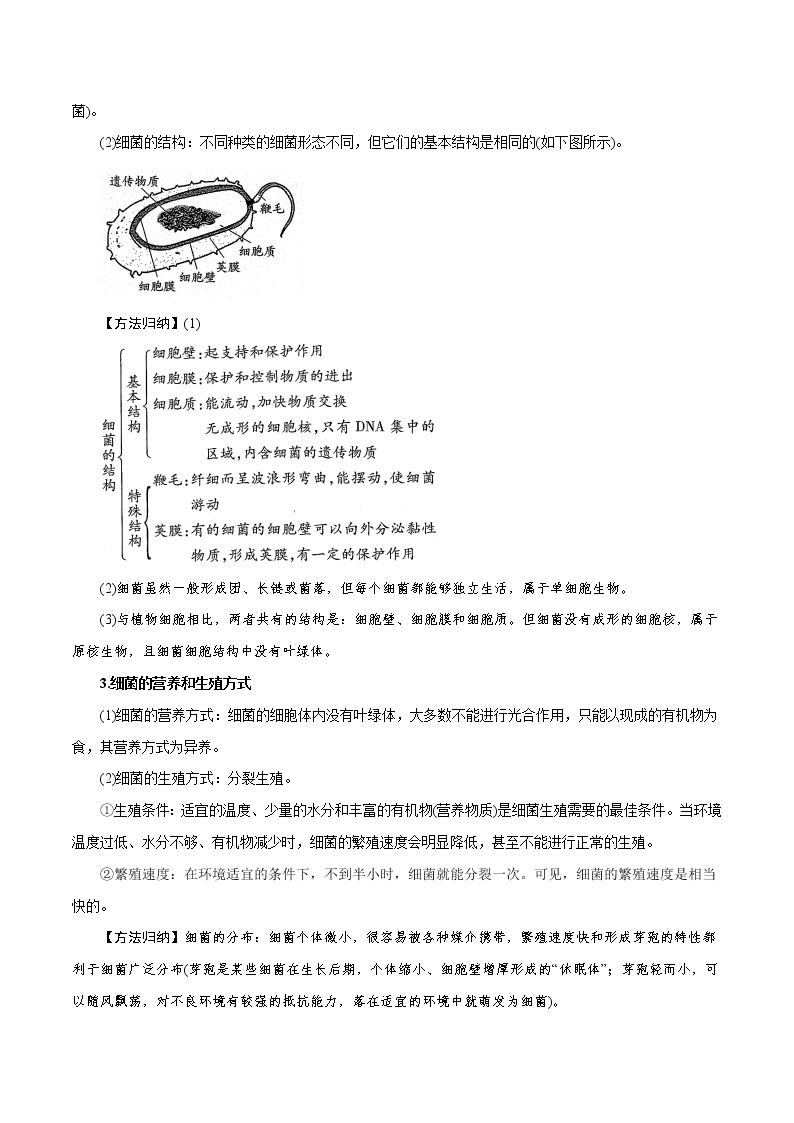 【精品讲义】浙教版 科学 7年级下册 1.6 细菌和真菌的繁殖（教师版+学生版）02