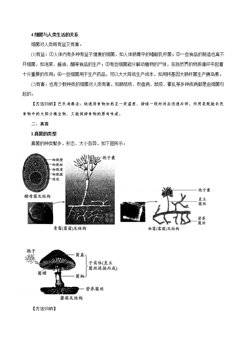 【精品讲义】浙教版 科学 7年级下册 1.6 细菌和真菌的繁殖（教师版+学生版）03