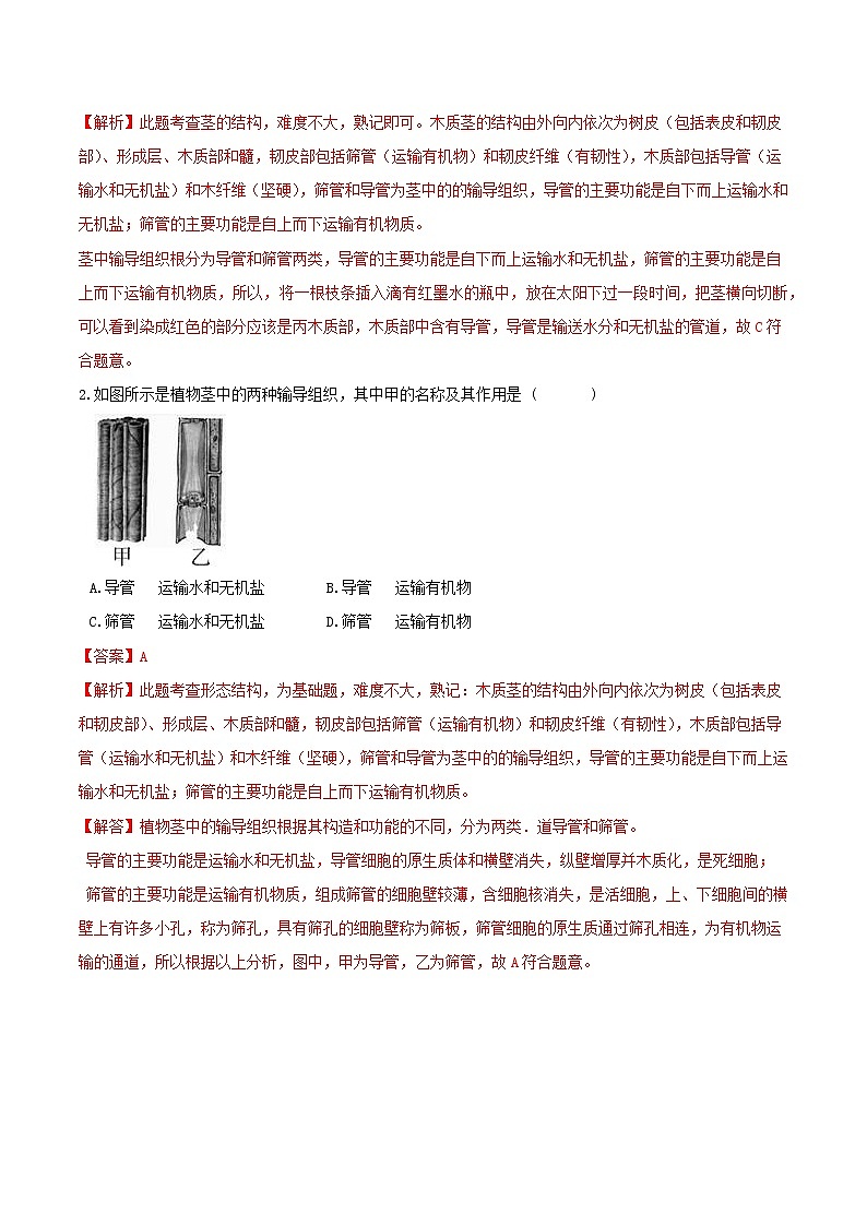 八下重難點(diǎn)優(yōu)化與提高  4.4 植物的莖與物質(zhì)運(yùn)輸（答案）第2頁