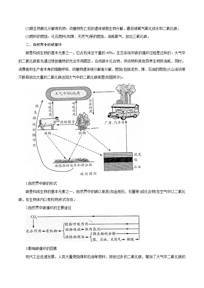 【精品讲义】浙教版 科学 8年级下册 3.7 自然界中的氧循环和碳循环(教师解析版+学生版)02