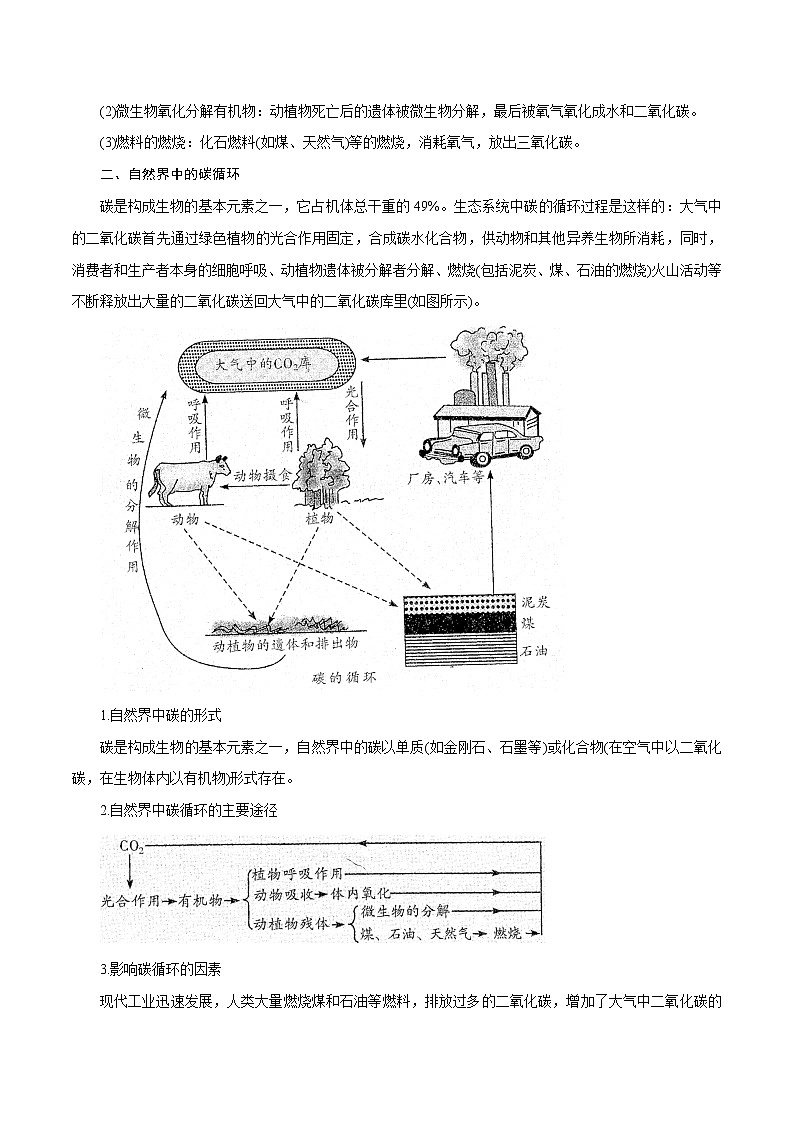 【精品讲义】浙教版 科学 8年级下册 3.7 自然界中的氧循环和碳循环(教师解析版+学生版)02