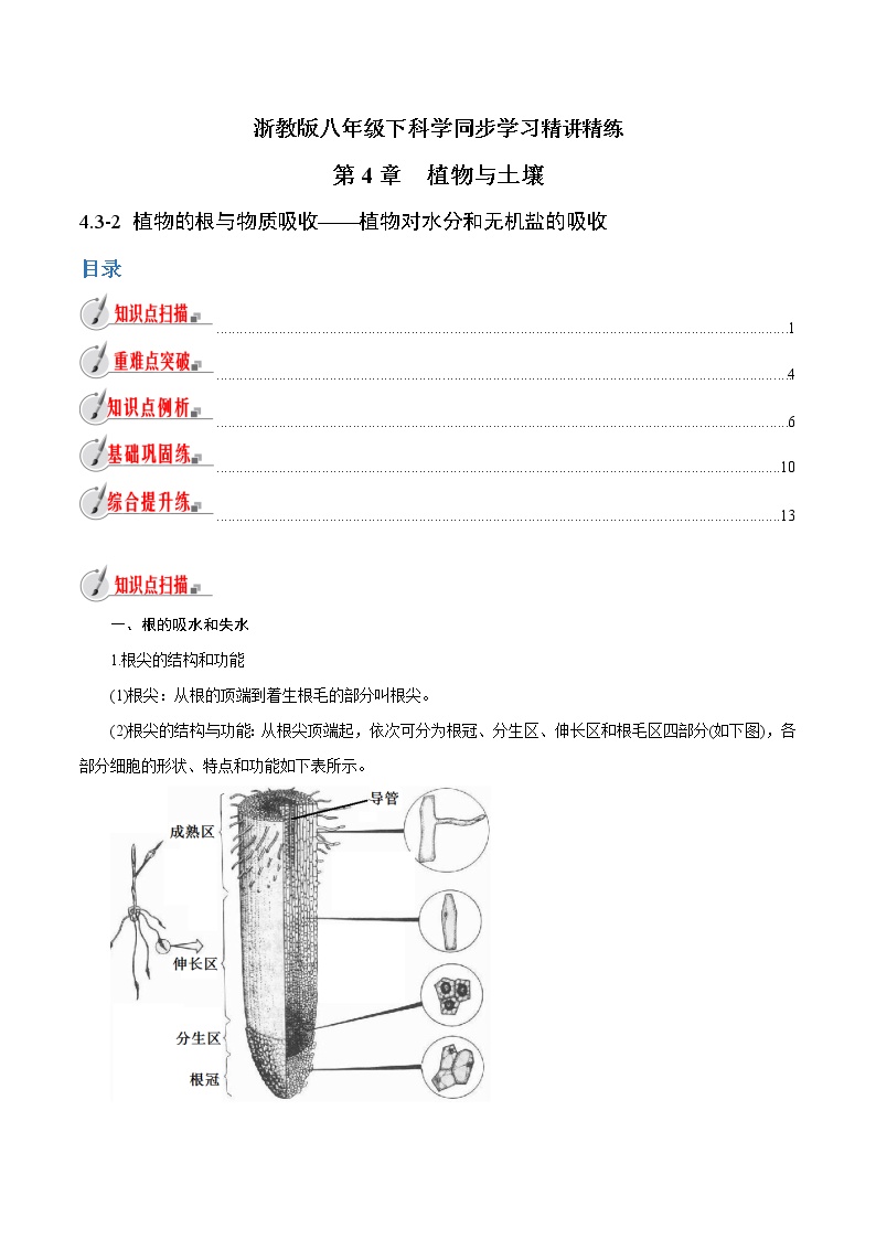 2020-2021学年第3节 植物的根与物质吸收教案