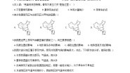 初中科学华师大版八年级下册5 我国气候主要特点练习题