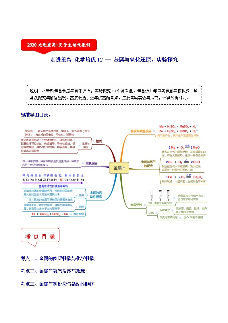 金属与氧化还原，实验探究（10个考点）-2021年中考科学（浙教版）重难点、易错点复习练习（教育机构专用）01