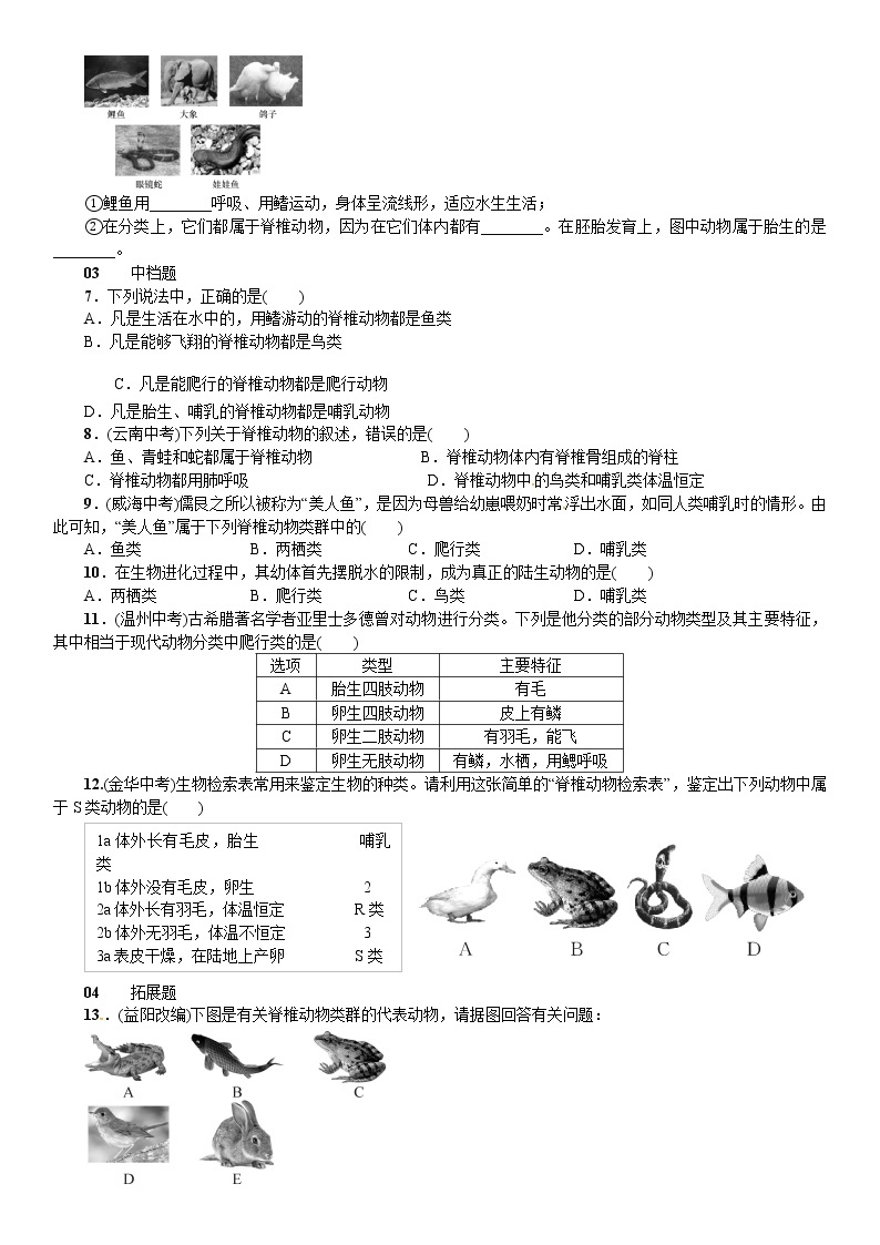 浙教版科学 七年级上册 第2章 观察生物 第4节 常见的动物（课件+教案+试题）02