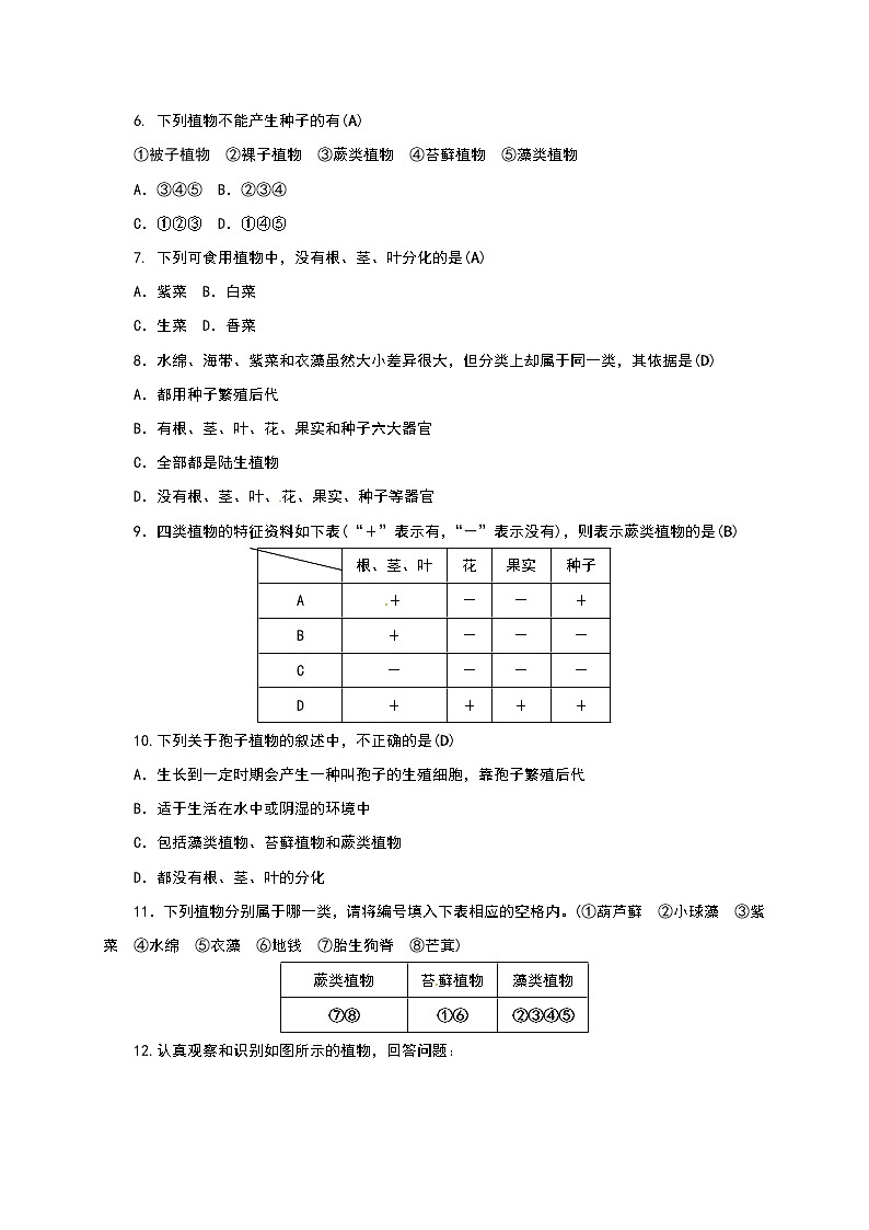 浙教版科学 七年级上册 第2章 观察生物 第5节 常见的植物(课件+教案+试题)02