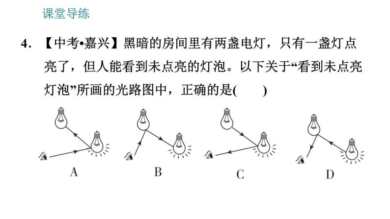 教科版八年级上册物理习题课件 第4章 4.2 光的放射定律07