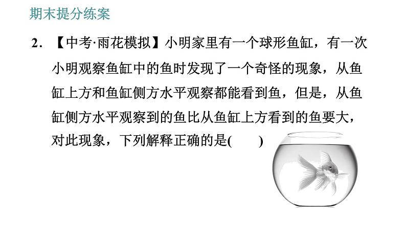 教科版八年级上册物理 期末提分练案 习题课件06