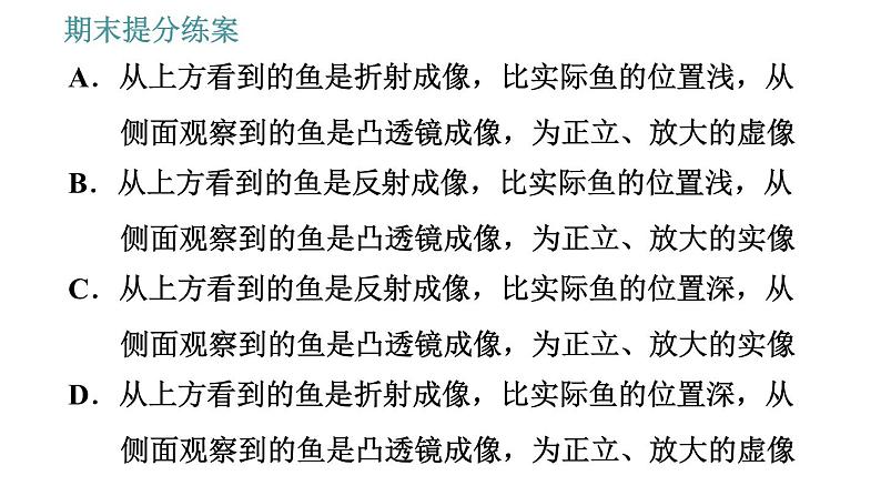 教科版八年级上册物理 期末提分练案 习题课件07