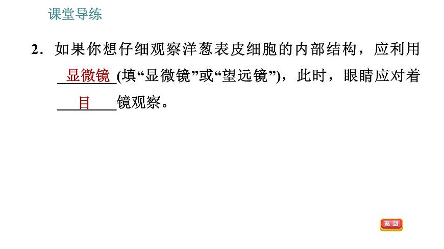 人教版八年級上冊物理習題課件 第5章 5.5 顯微鏡和望遠鏡第5頁