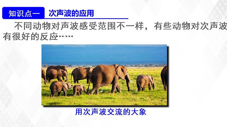 2020_2021学年八年级物理上册2.3声的利用课件第6页