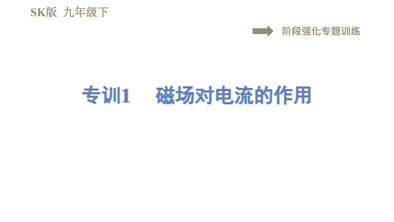 苏科版九年级下册物理课件 第16章 16.5阶段强化专题训练 专训1 磁场对电流的作用第1页