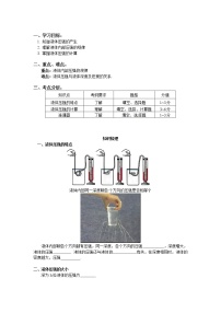 2020中考人教版物理 专题复习 教案：液体的压强(1)