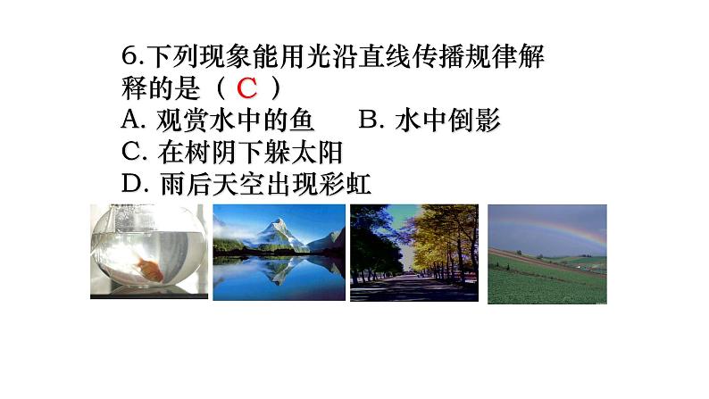 人教版八年级物理(上)第四章《光现象》专项复习课件05