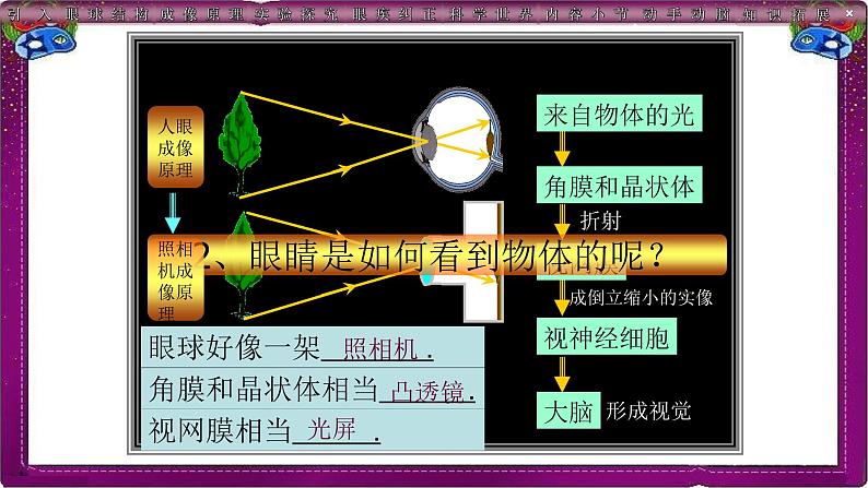 人教版八年级(上)第五章《眼睛和眼镜》教学课件第5页