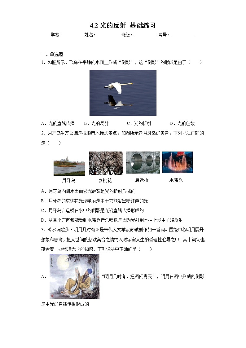 4.2光的反射 课件+教案+练习01