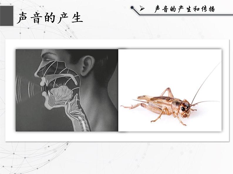 声音的产生和传播第7页