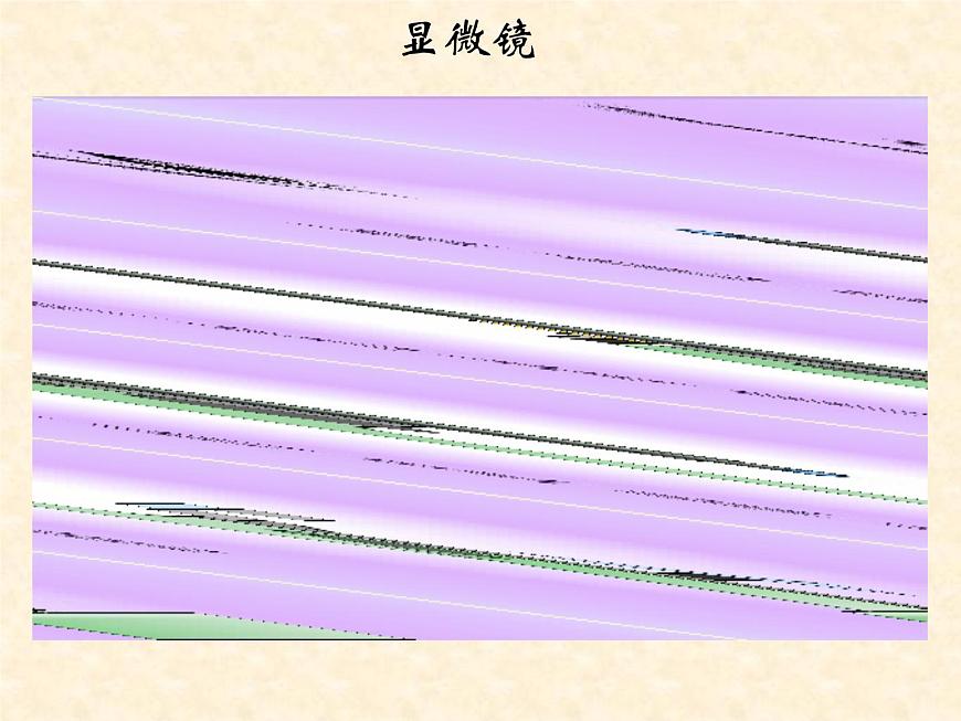 第5節(jié) 顯微鏡和望遠(yuǎn)鏡課件PPT第6頁(yè)