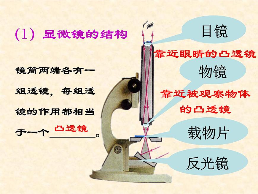第5節(jié) 顯微鏡和望遠(yuǎn)鏡課件PPT第7頁(yè)