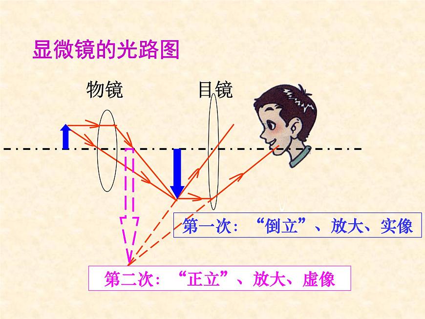 第5節(jié) 顯微鏡和望遠(yuǎn)鏡課件PPT第8頁(yè)
