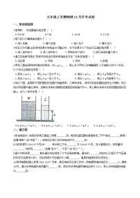2020-2021年上海市普陀区九年级上学期物理12月月考试卷附答案