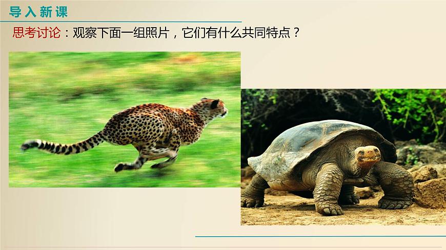 人教版八上物理1.2運動的描述課件PPT第5頁