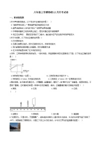 2020-2021年江苏省扬州市八年级上学期物理12月月考试卷附答案