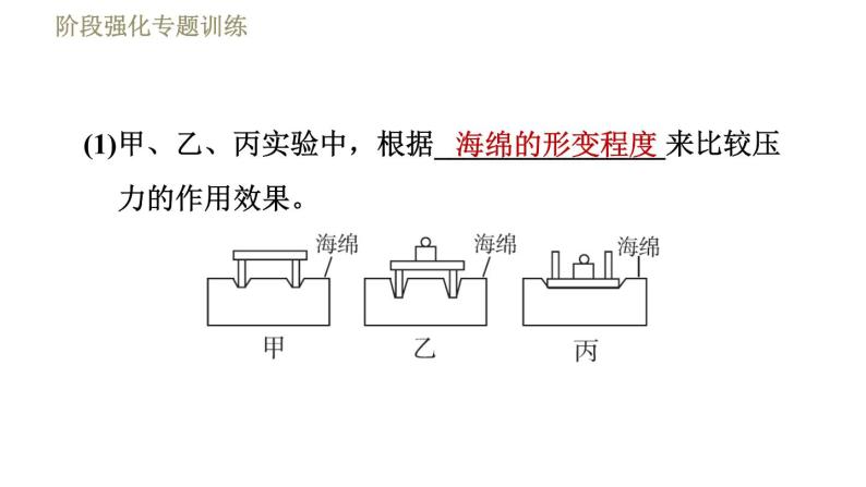 鲁科版八年级下册物理课件 第7章 阶段强化专题训练（三）  专训1  固体和液体压强的探究04