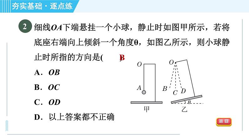 沪科版八年级上册物理习题课件 第6章 6.4.2重力的方向和作用点第5页