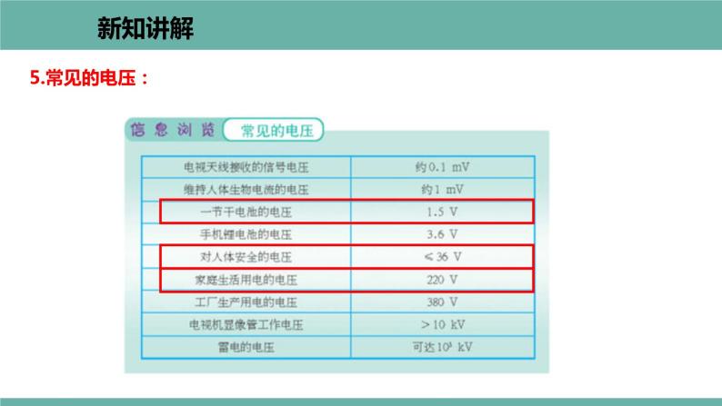 13.5 怎样认识和测量电压 课件 2021-2022学年 粤沪版 物理九年级上册05