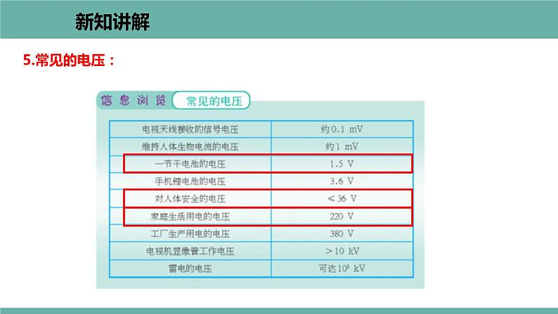 13.5 怎样认识和测量电压 课件 2021-2022学年 粤沪版 物理九年级上册第5页