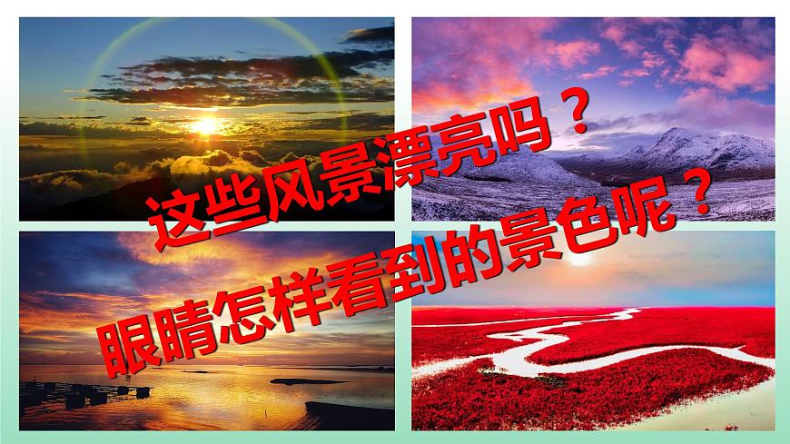 第五章第四節(jié)眼睛和眼鏡課件 人教版物理八年級上冊第1頁