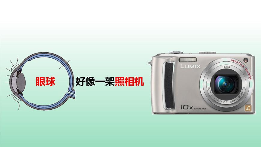 第五章第四節(jié)眼睛和眼鏡課件 人教版物理八年級上冊第3頁