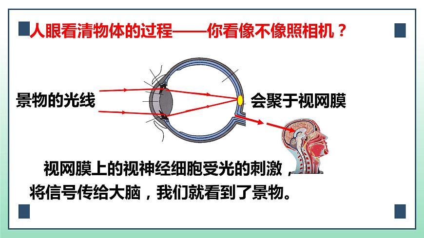 第五章第四節(jié)眼睛和眼鏡課件 人教版物理八年級上冊第5頁
