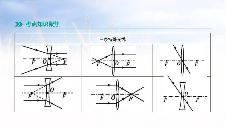 中考物理一轮复习第04课时 透镜 凸透镜成像第3页