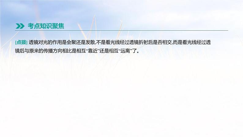 中考物理一轮复习第04课时 透镜 凸透镜成像第4页