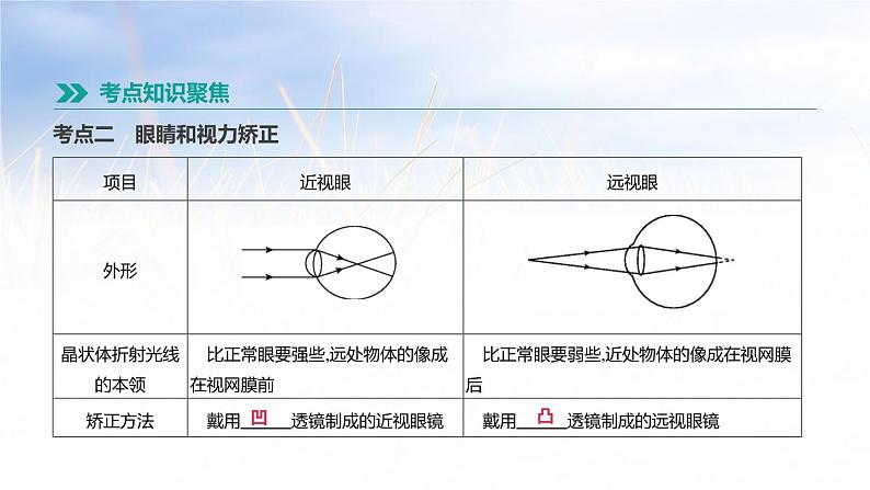 中考物理一轮复习第04课时 透镜 凸透镜成像第5页