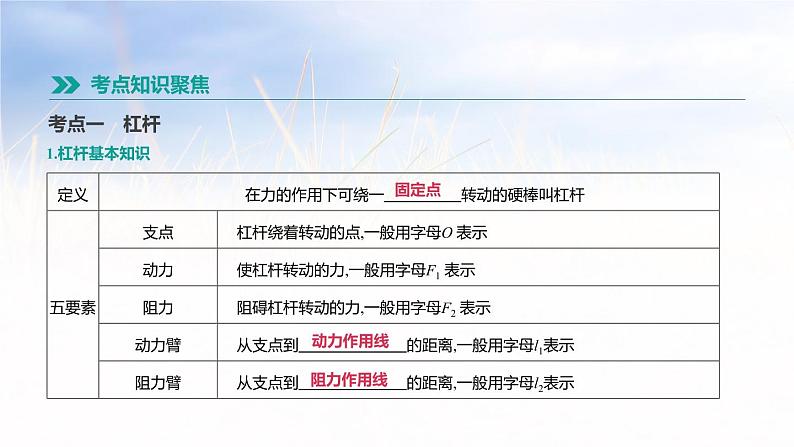 中考物理一轮复习第14课时 杠杆和滑轮第2页