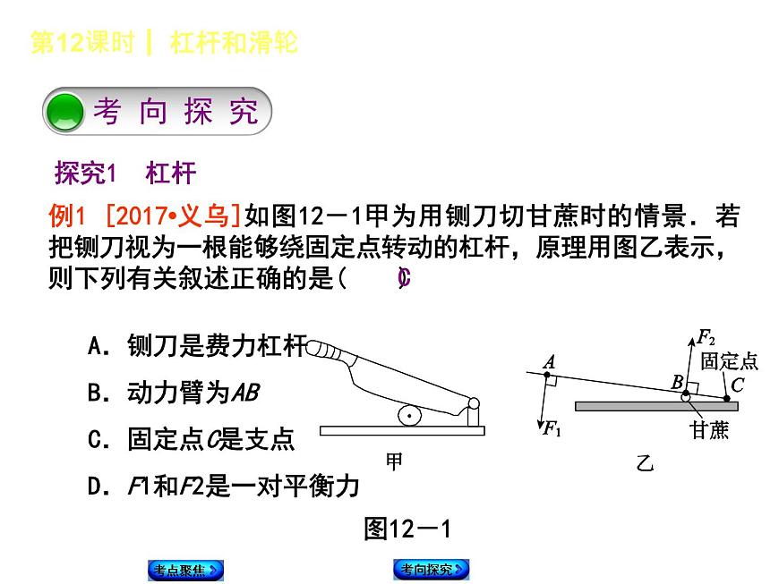 第12課時  杠桿和滑輪第8頁