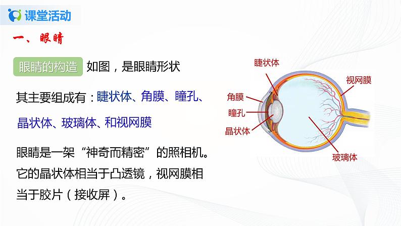 6.4 眼睛和眼镜 八下物理课件+练习(北师大版)05