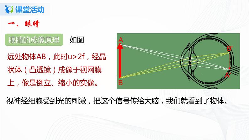 6.4 眼睛和眼镜 八下物理课件+练习(北师大版)06