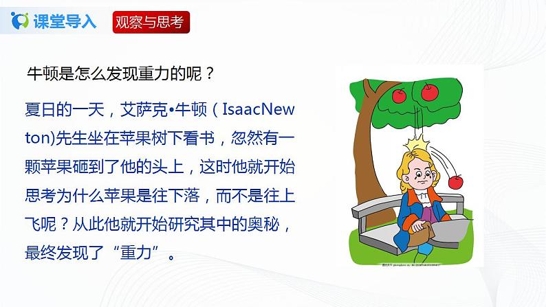 7.3 重力 八下物理课件+练习(北师大版)04