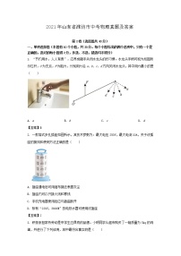 2021年山东省潍坊市中考物理真题及答案