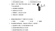教科版八年级上册7 通过透镜看世界一课一练