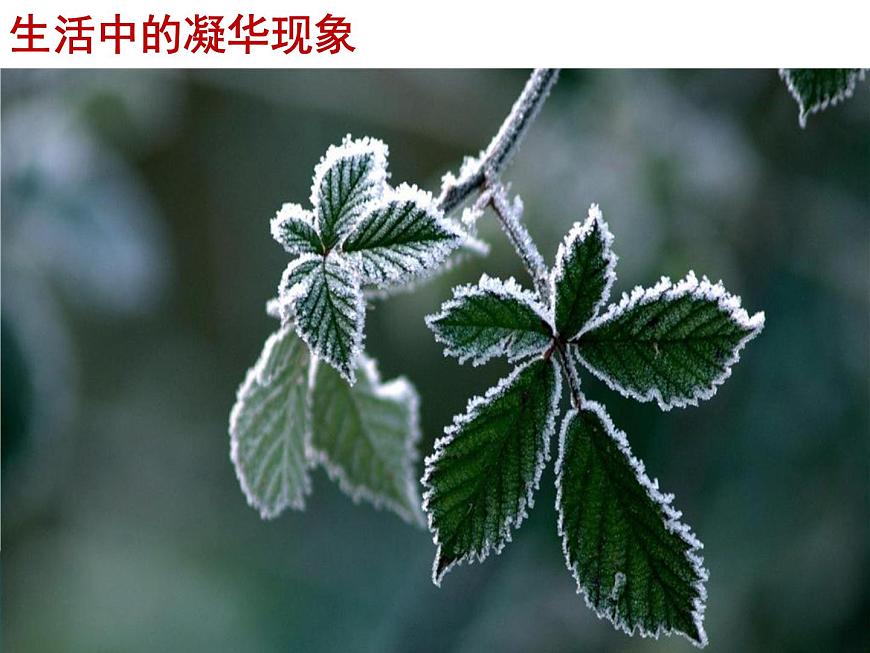 八年級(jí)物理上冊(cè)教學(xué)課件-3.4 升華和凝華5-人教版第7頁