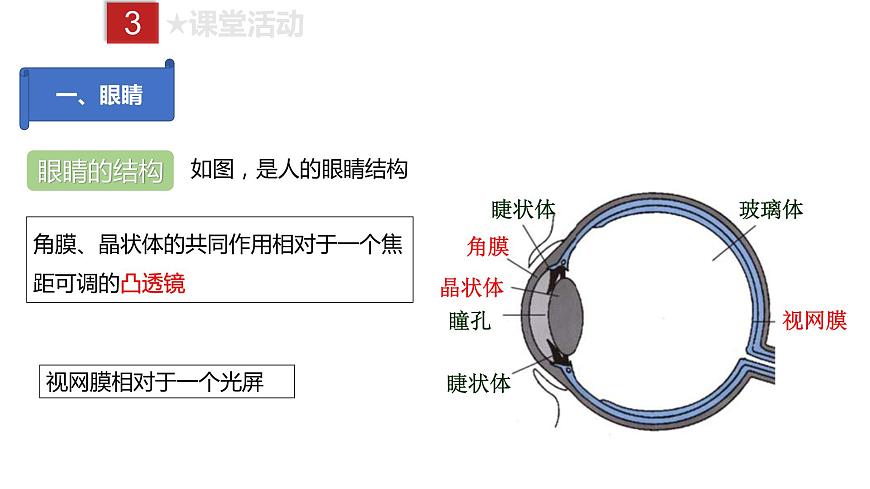 人教版八年級上冊物理--課時5.4 眼睛和眼鏡課件PPT第4頁