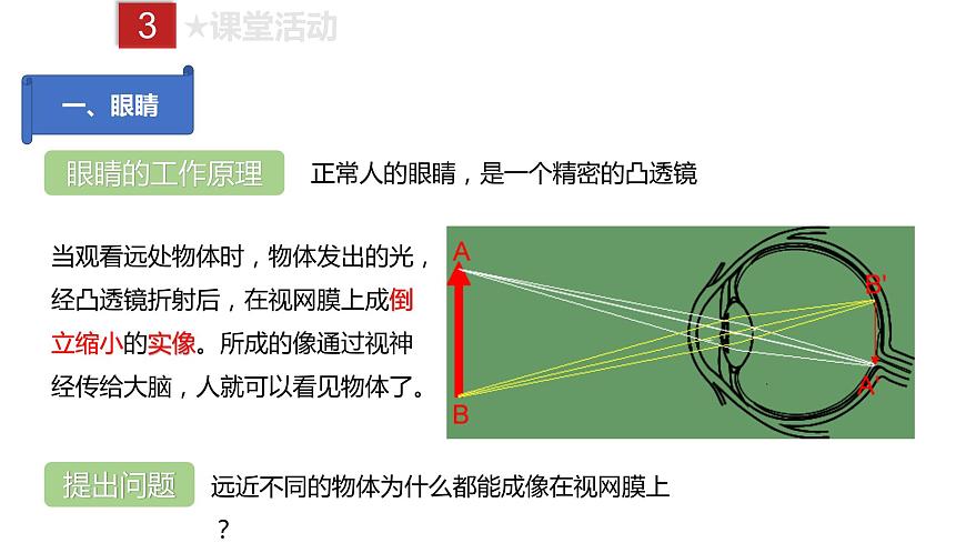 人教版八年級上冊物理--課時5.4 眼睛和眼鏡課件PPT第5頁